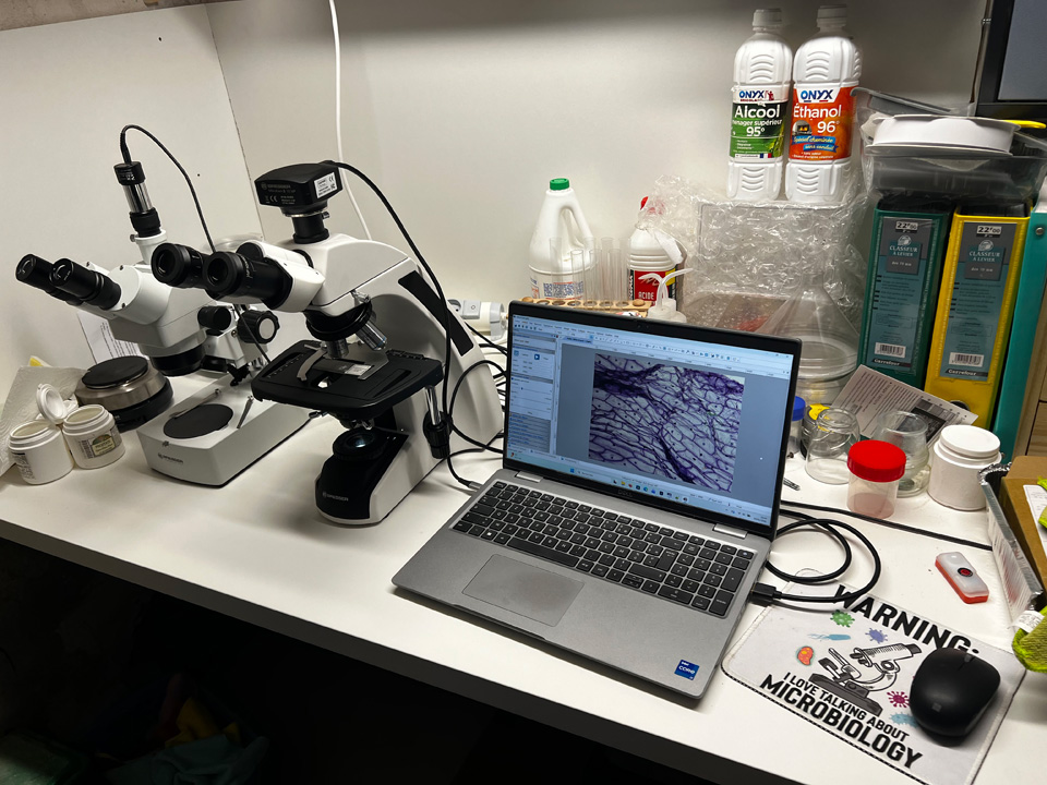 Mon laboratoire personnel